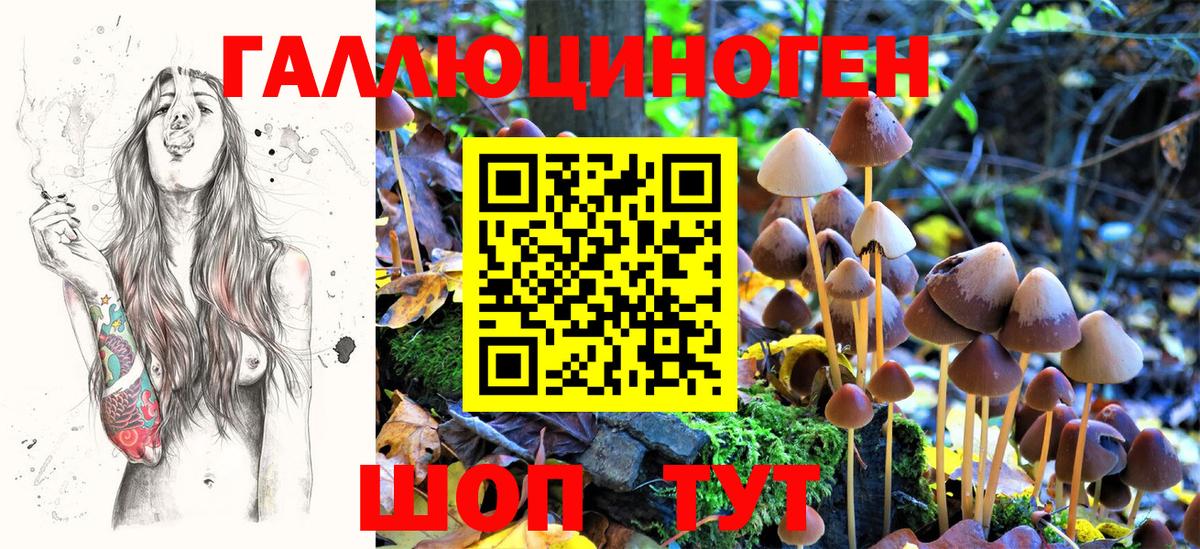 Псилоцибиновые грибы Cubensis Ртищево